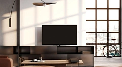 We. SEE 55 oled coal black