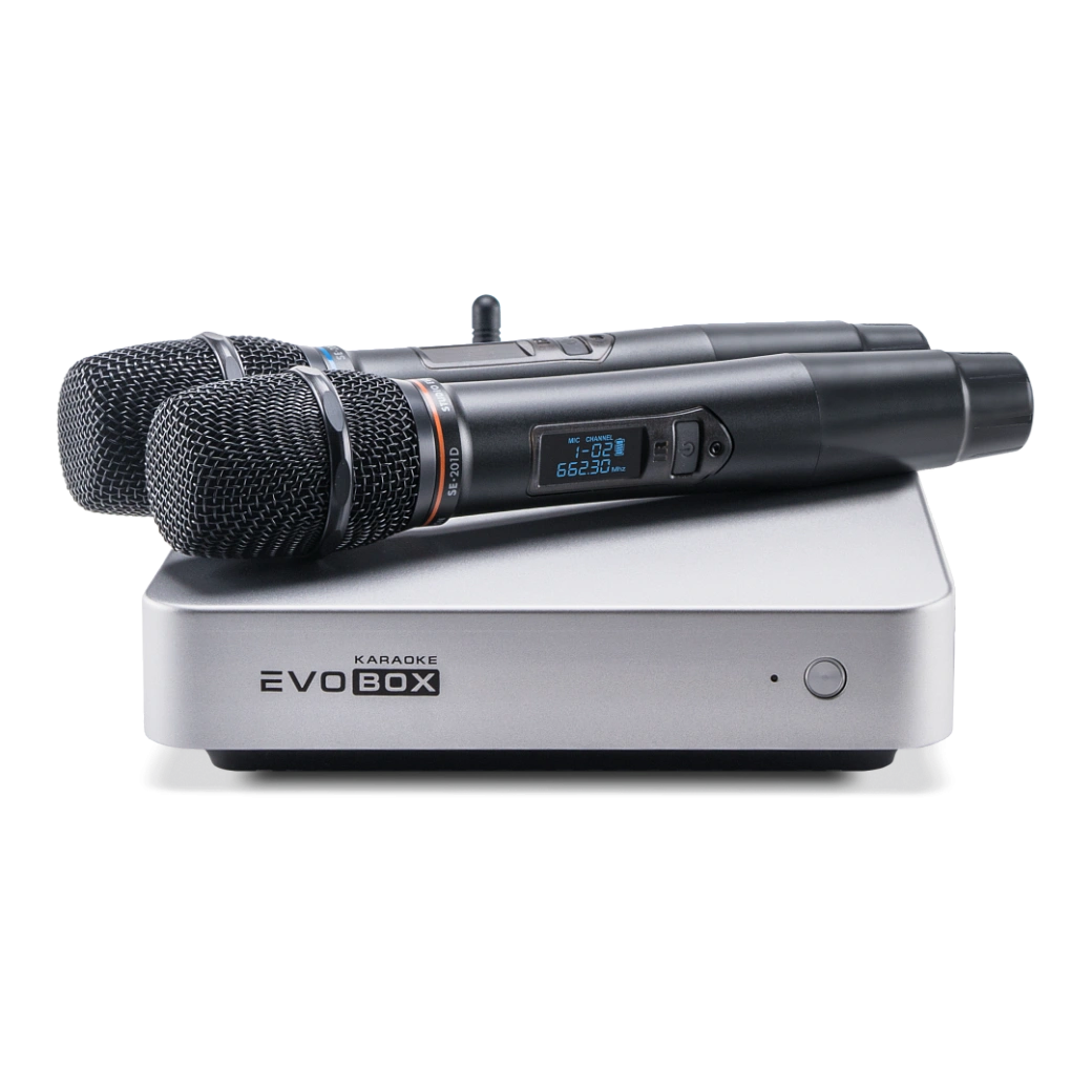 Караоке-система для дома EVOBOX Classic Silver