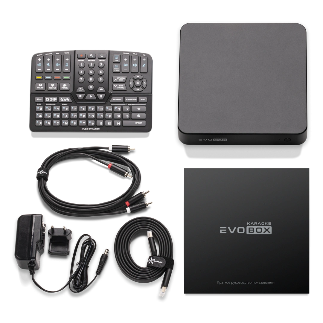 Караоке-комплект EVOBOX Plus с микрофонами и стереосистемой