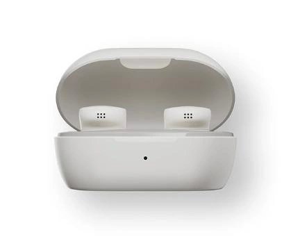 Bose QuietComfort Earbuds White Smoke