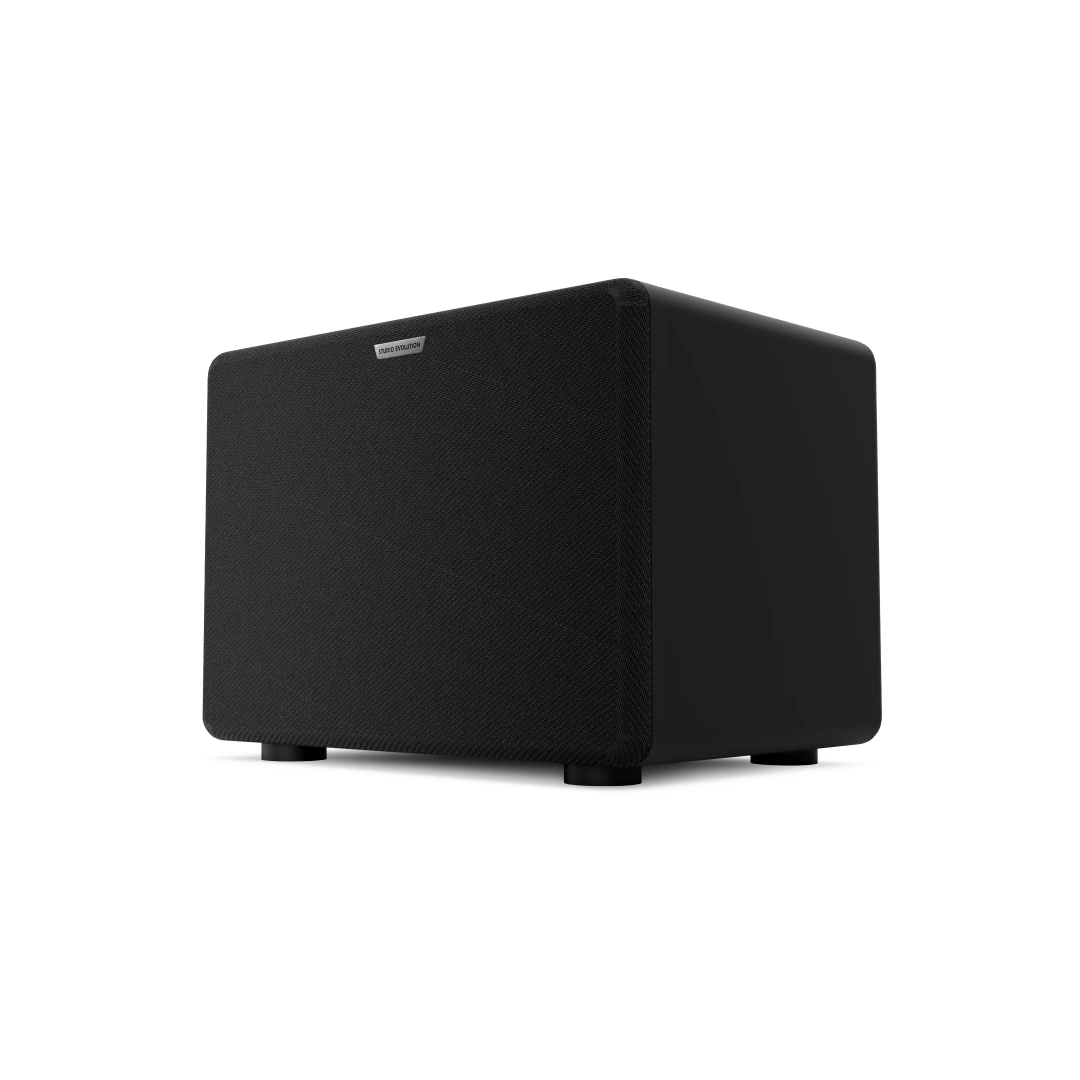 Караоке-система для дома EVOBOX Classic с микрофонами и стереосистемой