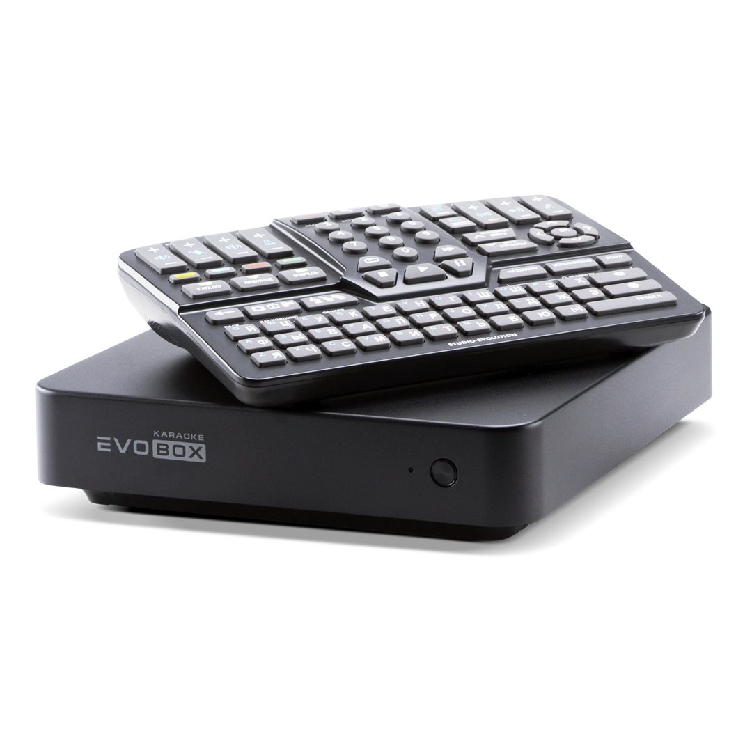 Караоке-комплект EVOBOX Plus с микрофонами и стереосистемой