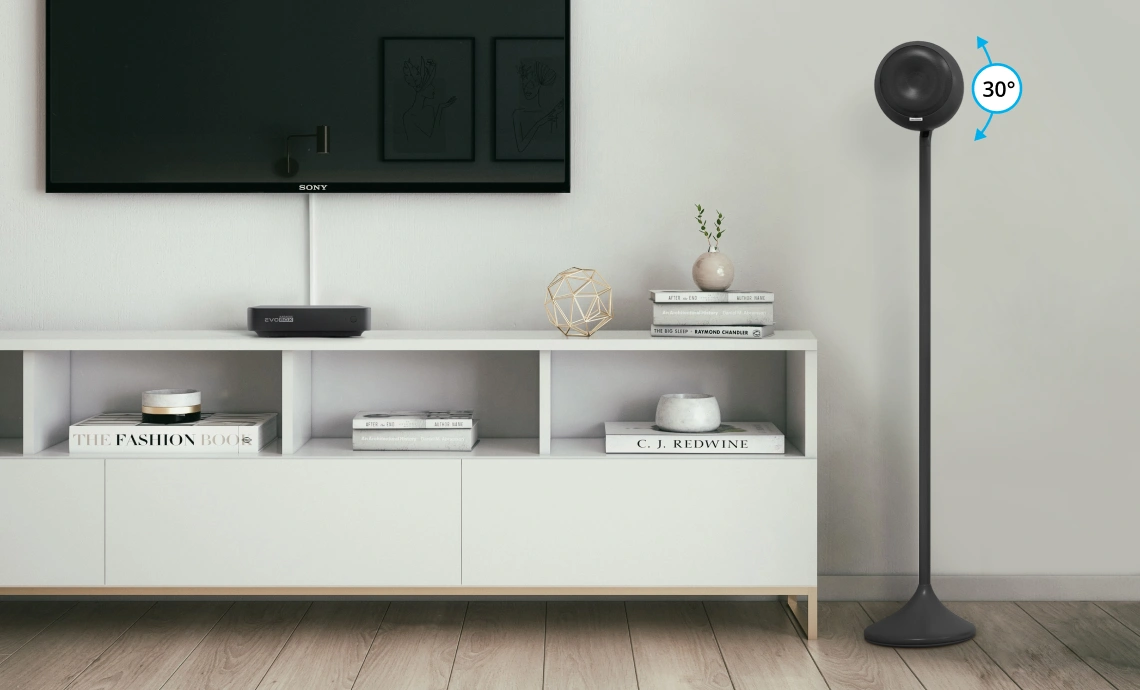 Караоке-система для дома EVOBOX Classic с микрофонами и стереосистемой