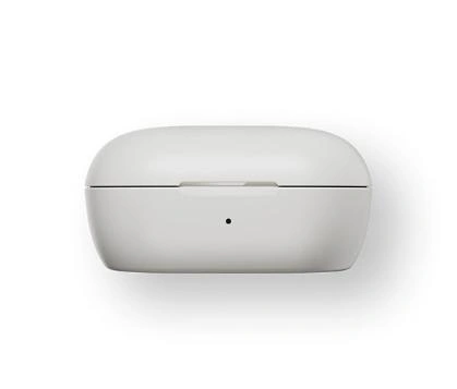 Bose QuietComfort Earbuds White Smoke