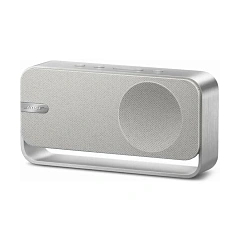 Soundlink Home Silver