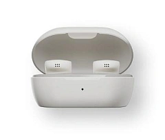 Bose QuietComfort Earbuds White Smoke