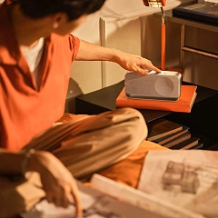 Soundlink Home Silver