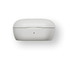 Bose QuietComfort Earbuds White Smoke
