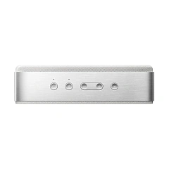 Soundlink Home Silver