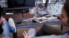 Smart Soundbar 300 3.1